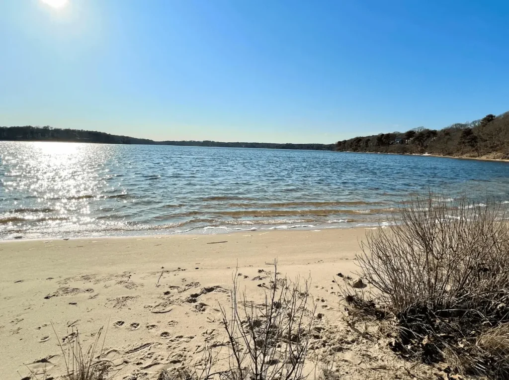 follins pond dennis ma